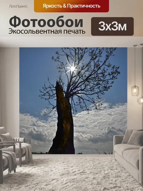 Фотообои Дерево