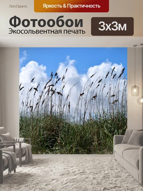 Фотообои Морской овес фон