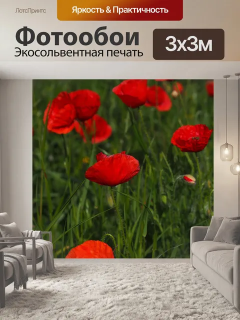 Фотообои Маки