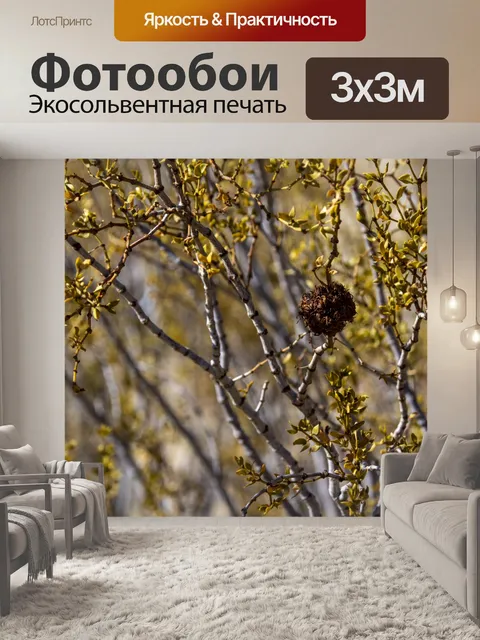 Фотообои Кисть для пустыни