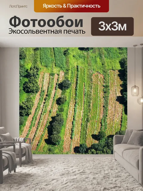 Фотообои пахотной земли с воздуха