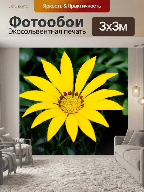 Фотообои Увидеть супер максимум