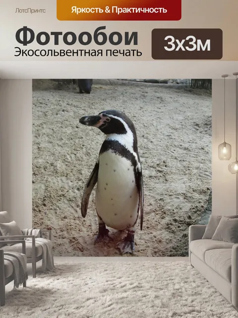 Фотообои Пингвин