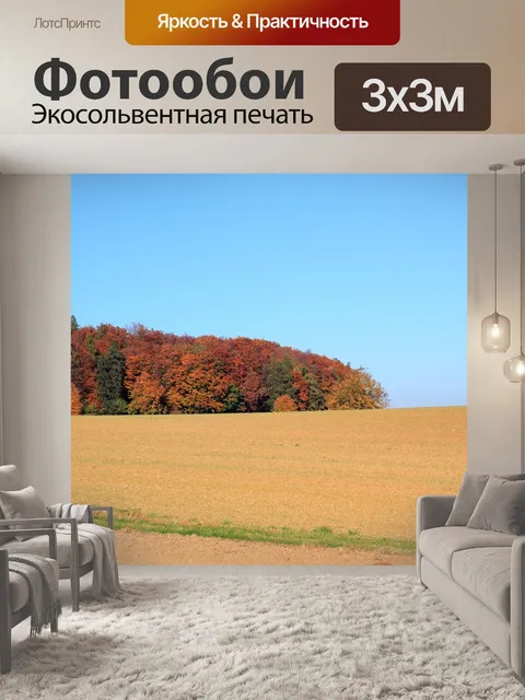 Фотообои Поле