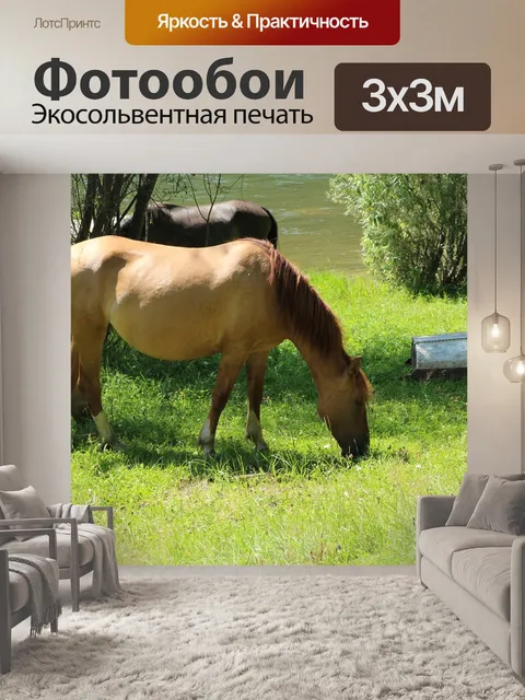 Фотообои Алтай горный
