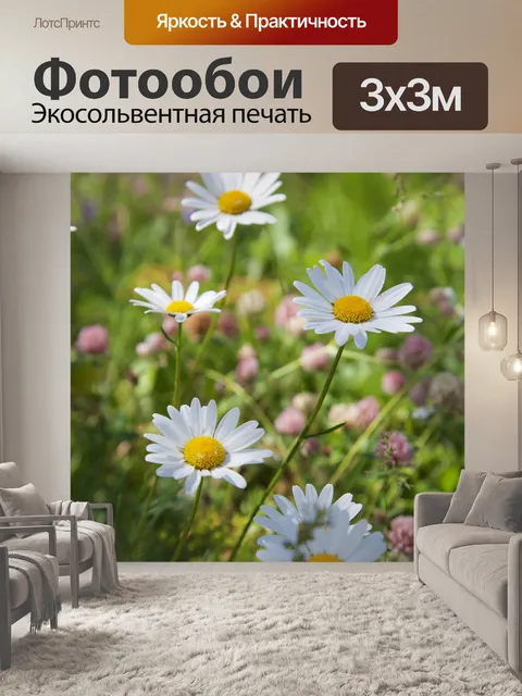 Фотообои Ромашка