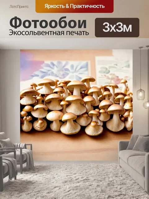 Фотообои множество грибов, тщательно расположенных на деревянной поверхности, каждый из которых покрыт тонким слоем…