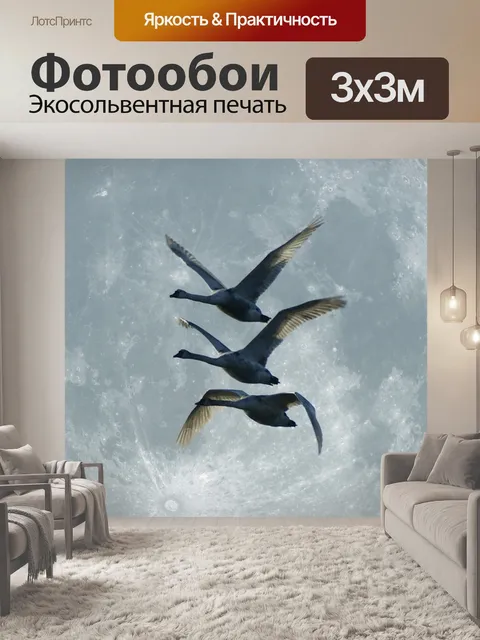 Фотообои Лебеди