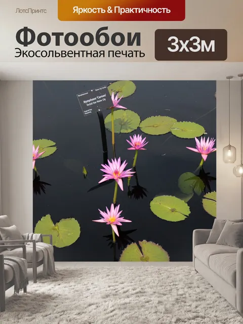 Фотообои Лилия