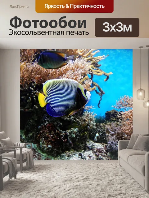 Фотообои Кораллы