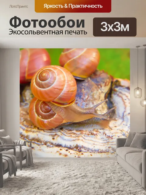 Фотообои Wstężyki gajowe