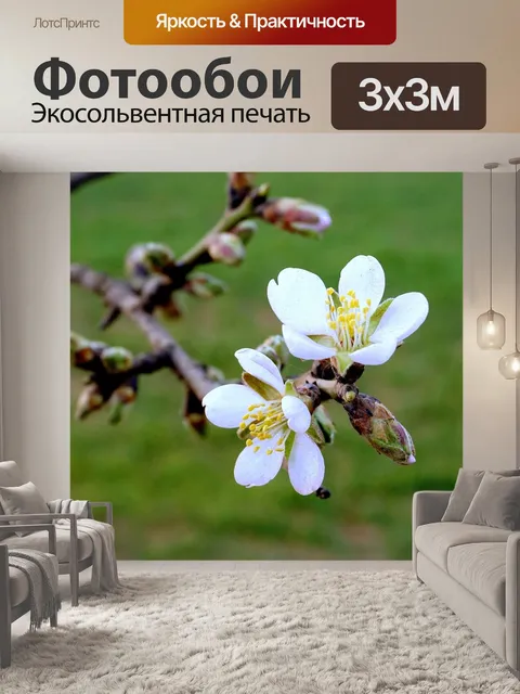 Фотообои Цветы миндаля