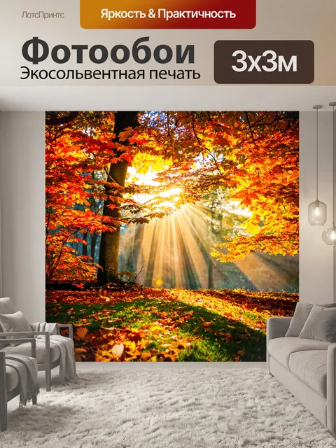 Фотообои осень: солнечные лучи, пробивающиеся сквозь листву, создавая сказочную атмосферу