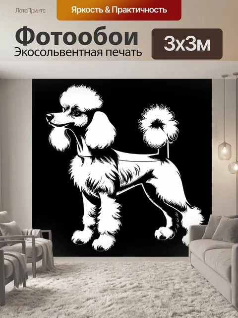 Фотообои современная граффити-стилизация пуделя на черном фоне, используя только черные и белые краски