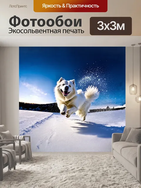Фотообои самоед с радостной улыбкой бежит по снежному склону