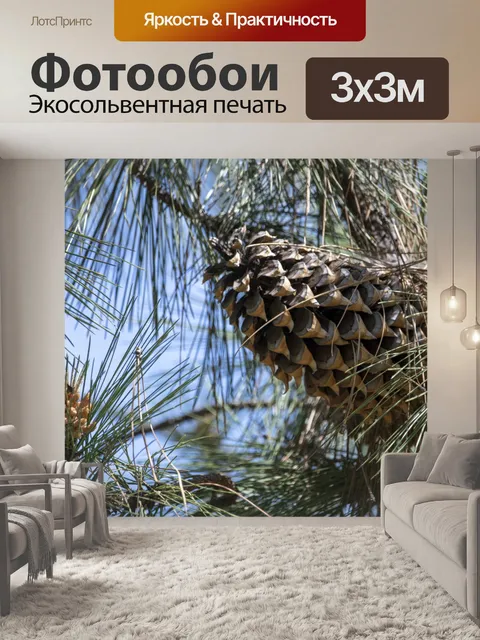 Фотообои Сосновая шишка