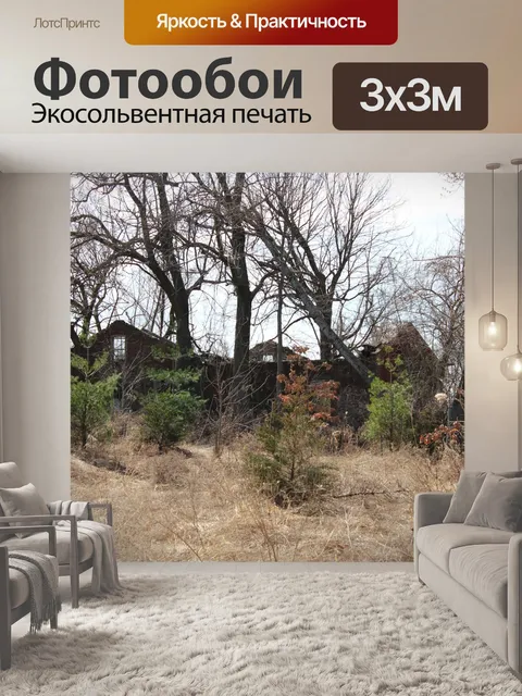 Фотообои Заброшенный дом