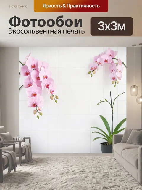 Фотообои Розовые орхидеи на светлом фоне