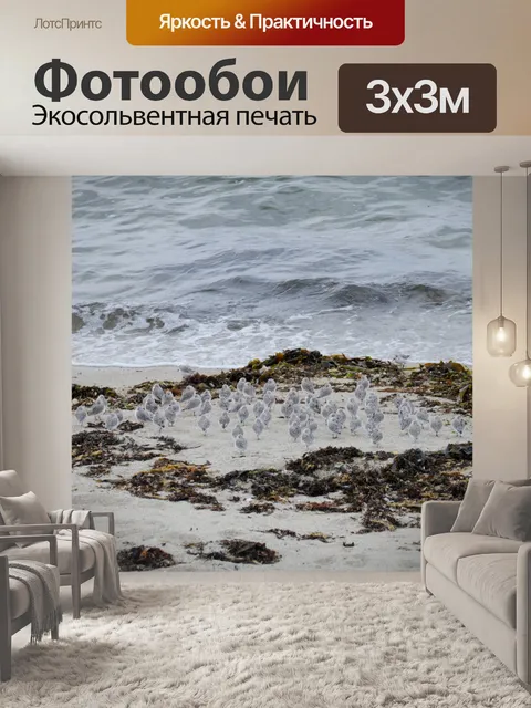 Фотообои Группа птиц на песке