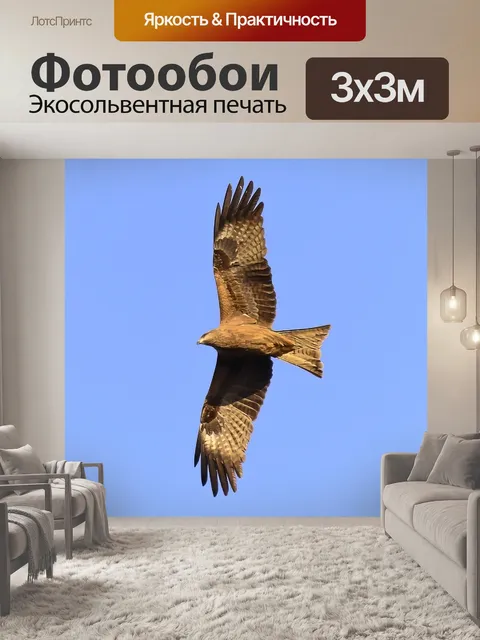 Фотообои Птица