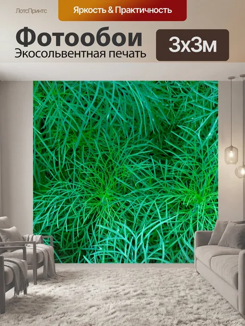 Фотообои Сад трава фон