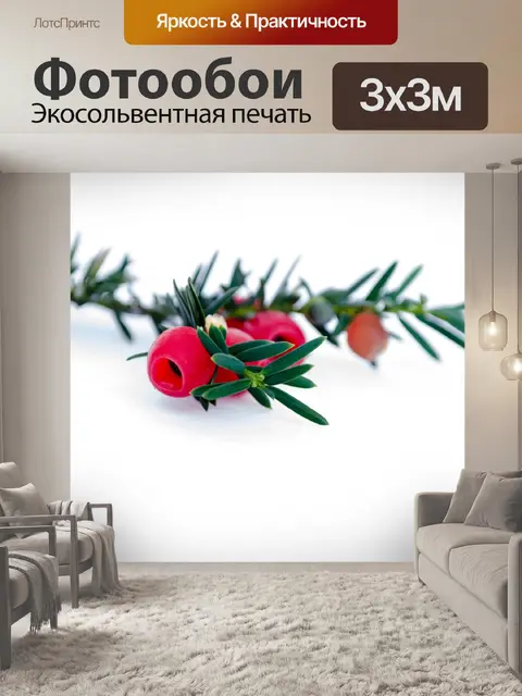 Фотообои Зеленая ветка иглы