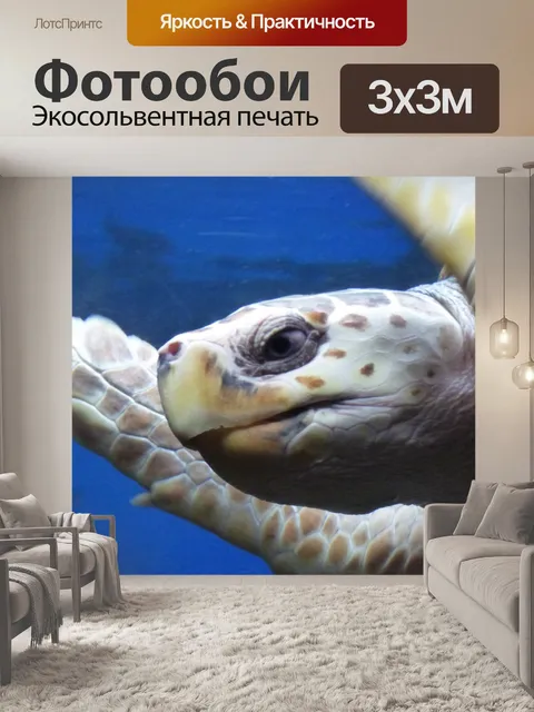 Фотообои Глава морская черепаха