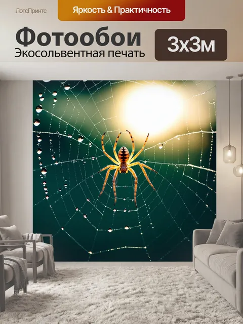 Фотообои паутина, покрытая каплями воды, сверкающая на утреннем солнце, с маленьким пауком, сидящим в центре
