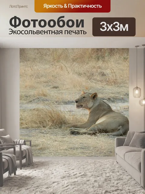 Фотообои Львица