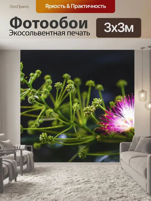 Фотообои Цветок