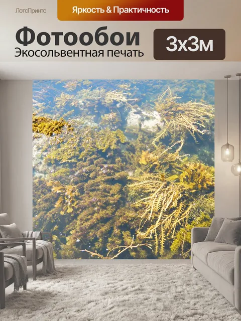 Фотообои Бассейн водорослей