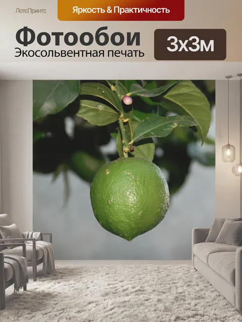 Фотообои Лайм