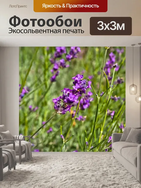 Фотообои Цветок