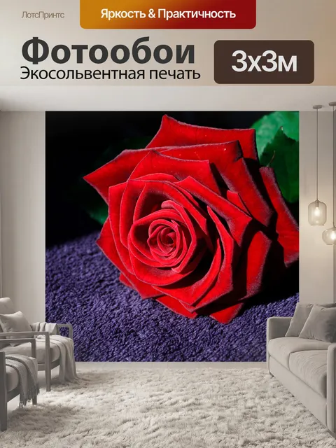 Фотообои Красная роза
