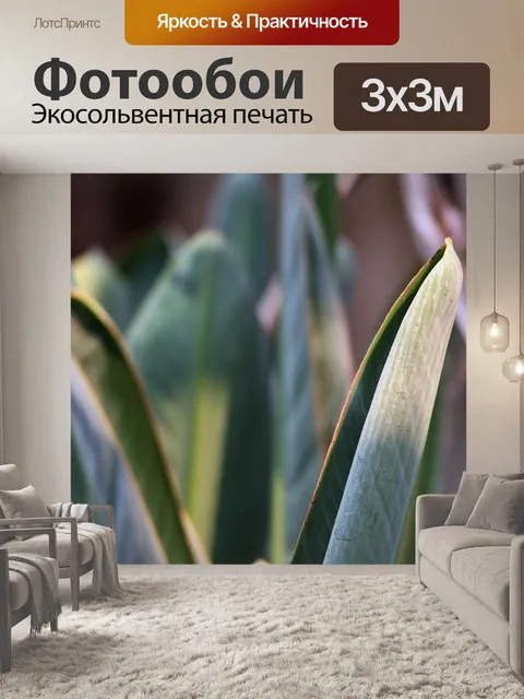 Фотообои Стрелиция листья