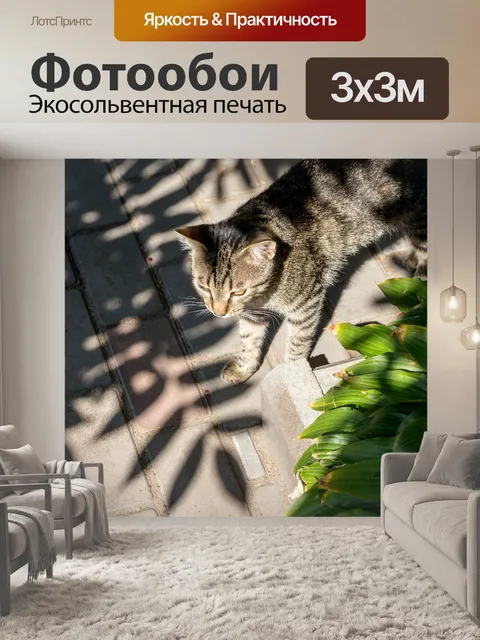 Фотообои Тень
