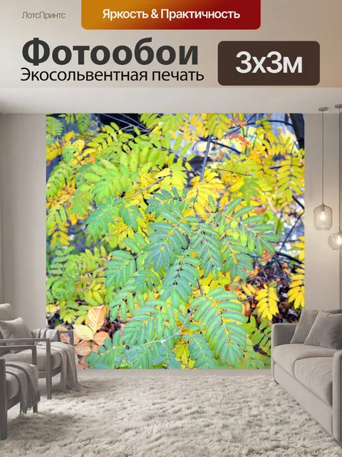 Фотообои Листья