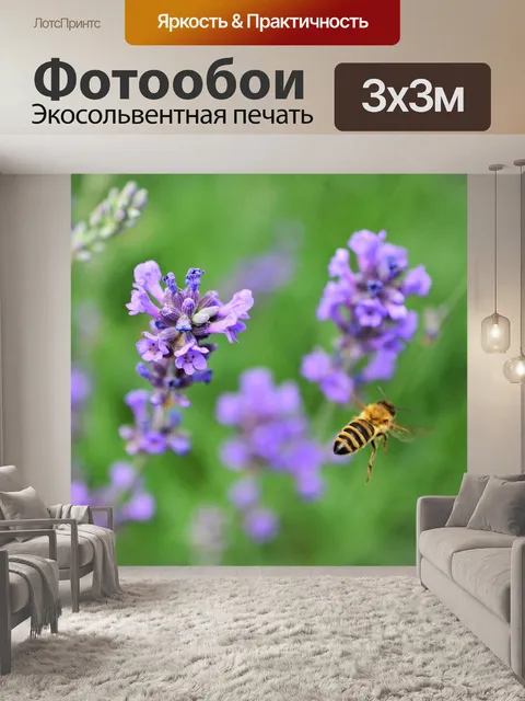 Фотообои Лаванда