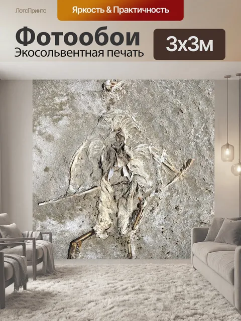 Фотообои Мертвая птица