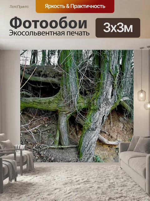 Фотообои Группа