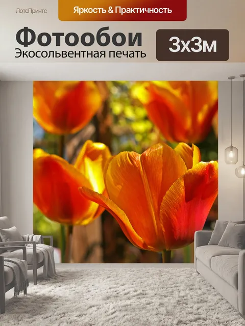 Фотообои Тюльпаны