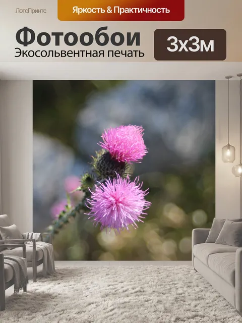 Фотообои Чертополох