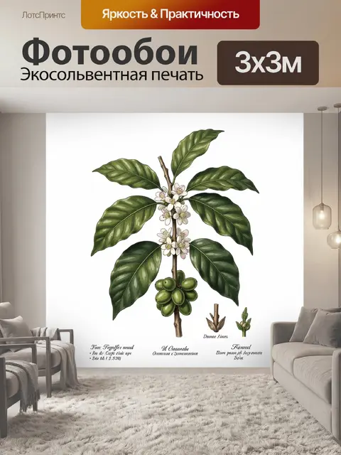 Фотообои Ботаническая ветка кофе с ягодами