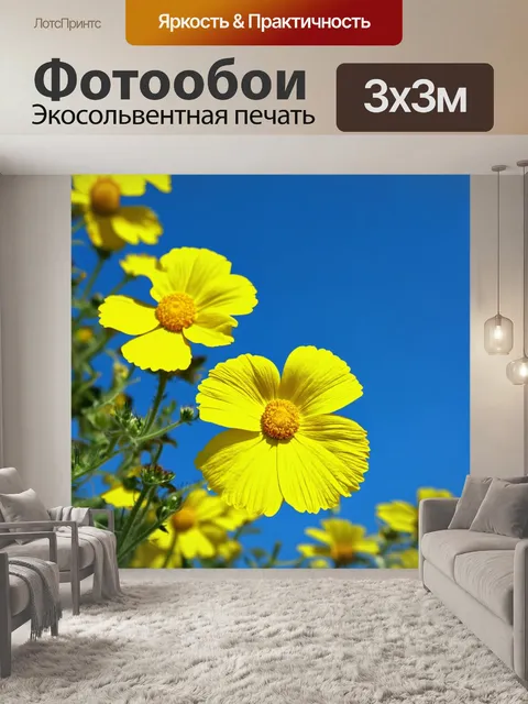 Фотообои крупный план желтых цветков на фоне голубого неба