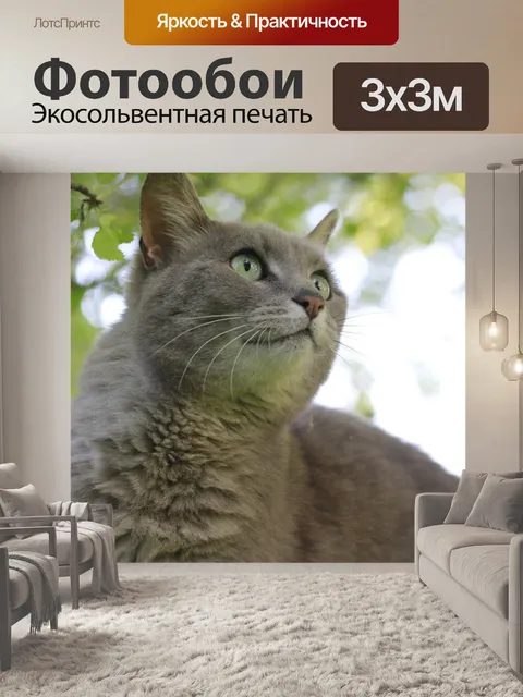 Фотообои Кошка