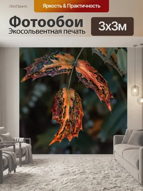 Фотообои Париж