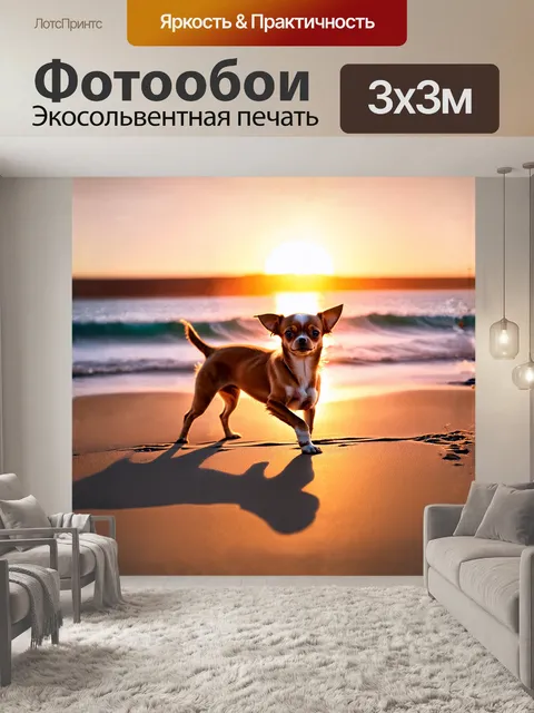 Фотообои маленькая чихуахуа с шикарной шевелюрой, щеголяющая на фоне живописного заката