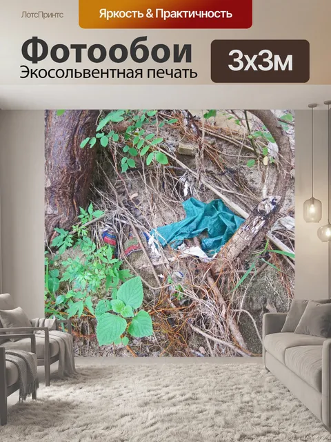 Фотообои полузасыпанный щебень под ветвями