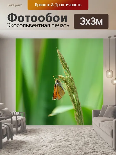 Фотообои Бабочка