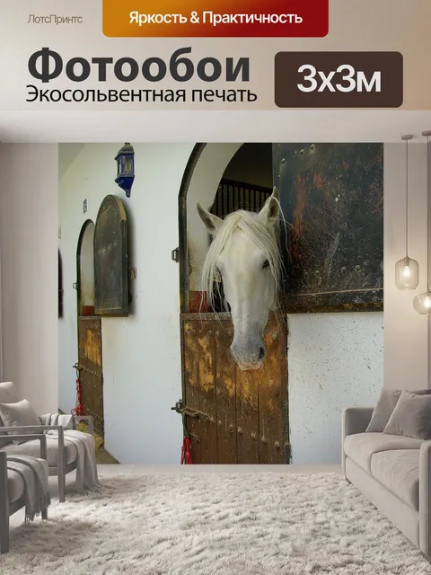 Фотообои Лошади